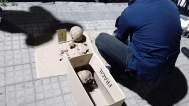 iban a colocar plantas en el patio de su casa y encontraron craneos enterrados