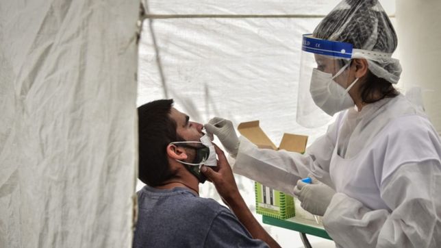 confirman una leve suba de casos de coronavirus en argentina en las ultimas 24 horas