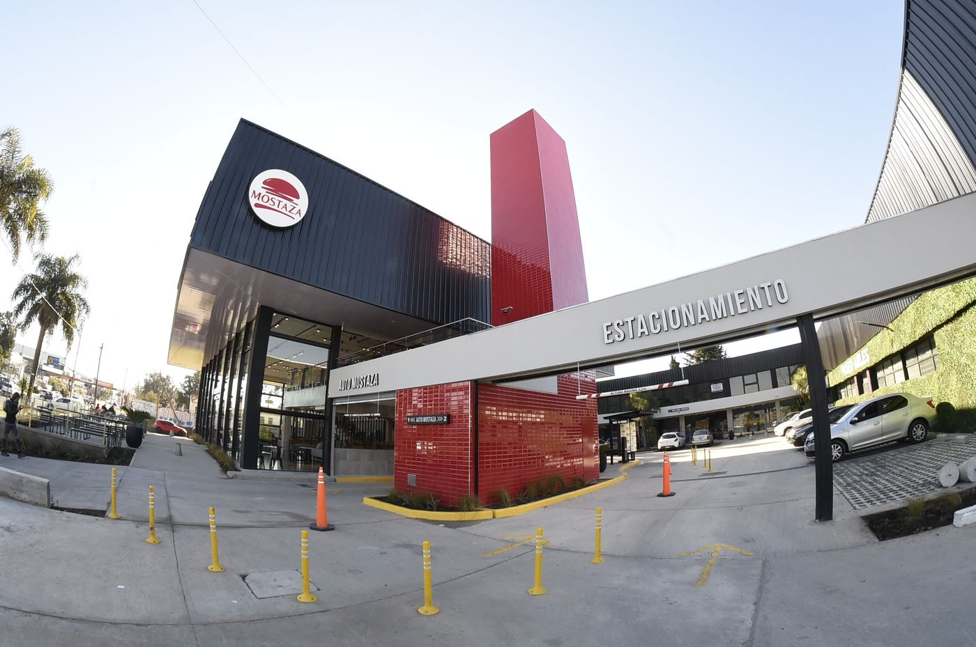 Mostaza de Camino Centenario (3)