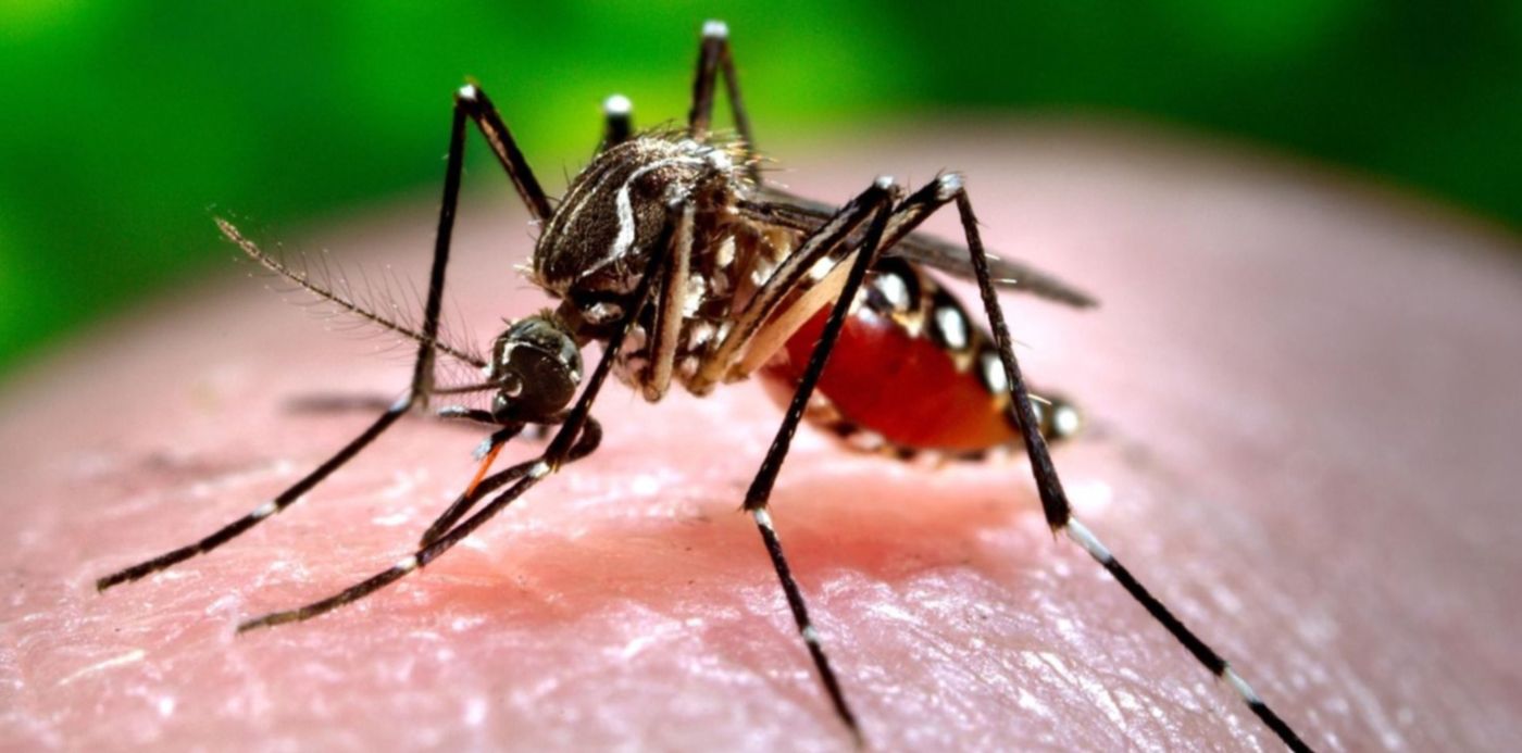 1585050128855.jpg?x=15&y=83&width=1476&height=738&rotate=0&scaleX=1&scaleY=1&ow=1500&oh=1035&&cw=1920&ch=950