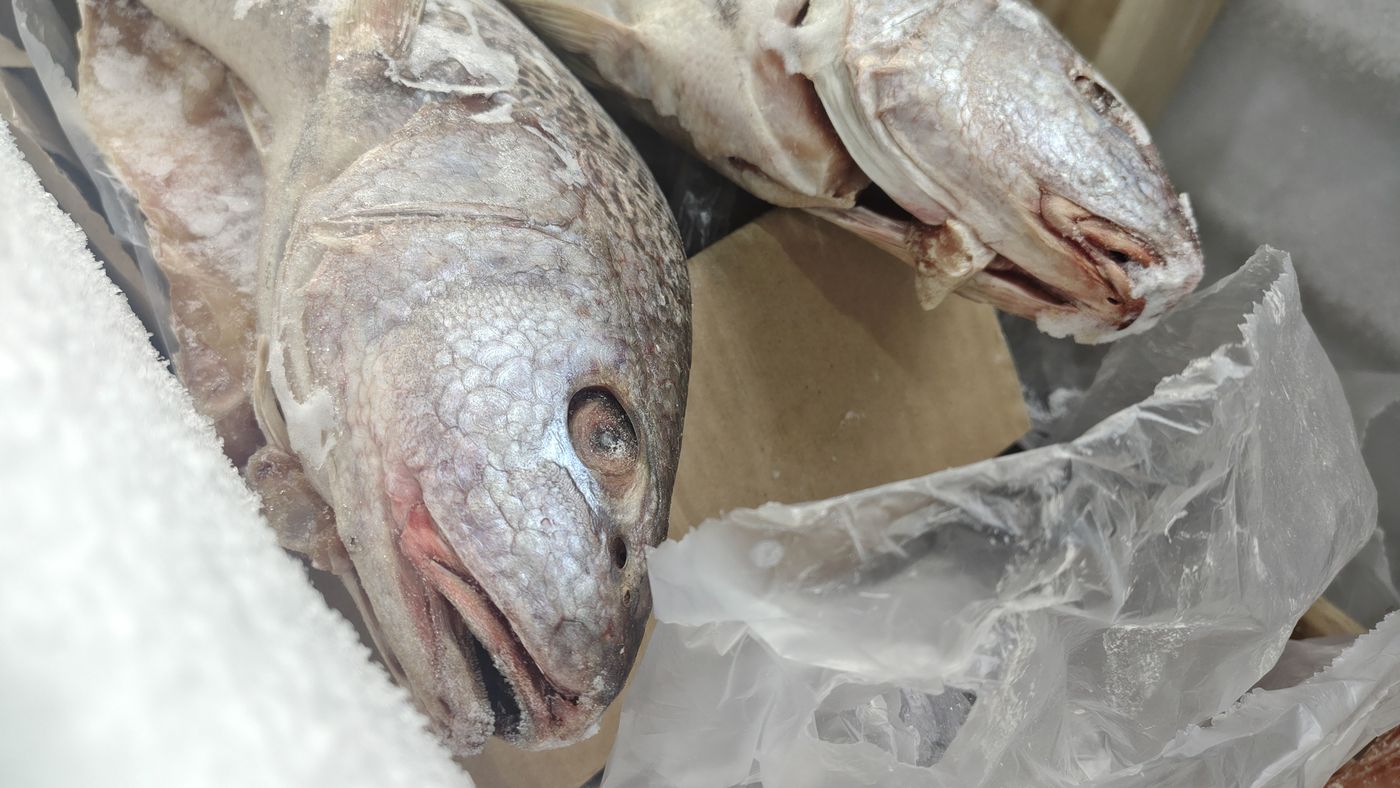 La pesca fue el rubro más perjudicado durante mayo, según el INDEC