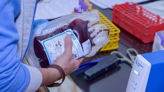 provincia llamo a donar sangre en las fiestas y el verano para asegurar stock de hemocomponentes