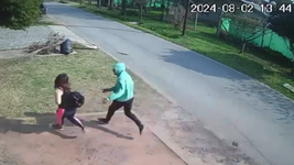video: dos motochorros atacaron a una mujer en villa elisa a plena luz del dia