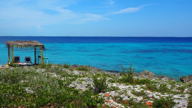 punta perdices, la playa de la patagonia que todo el mundo compara con el caribe