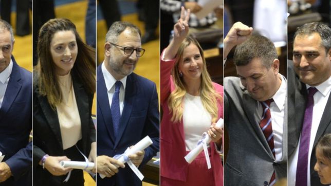 ¿cual fue el juramento de los diputados que asumieron por la plata?