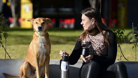 La semana empieza en La Plata con un lunes fresco por la mañana y casi primaveral a la tarde