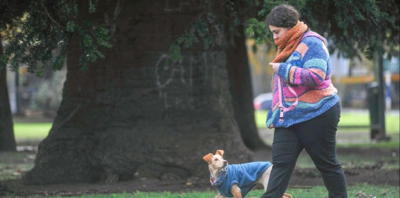 1532253827637.jpeg?&cw=1920&ch=950