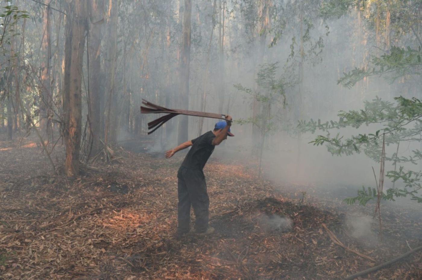 Incendio Parque Pereyra