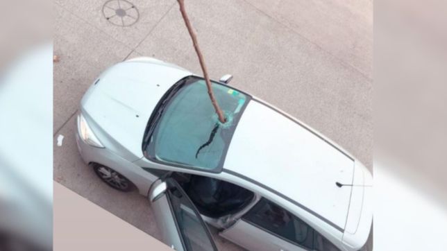 una rama volo en pleno temporal en la plata, atraveso un parabrisas e hirio a un hombre