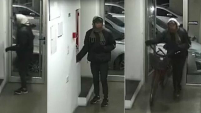 video: el visitante de edificios forzo una nueva entrada y se llevo una bicicleta