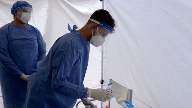 covid-19 en argentina: reportan 34 muertes y 2.655 casos en las ultimas 24 horas