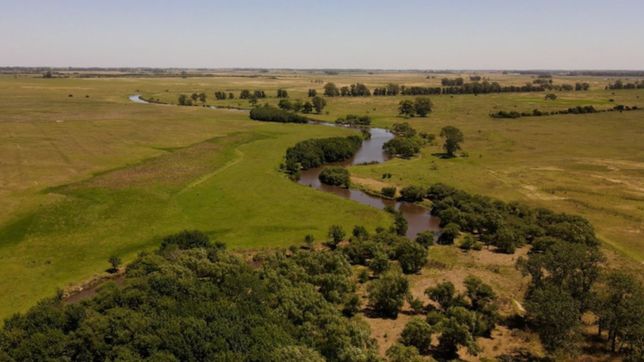 como es el proyecto que busca crear un inventario para monitorear los humedales platenses