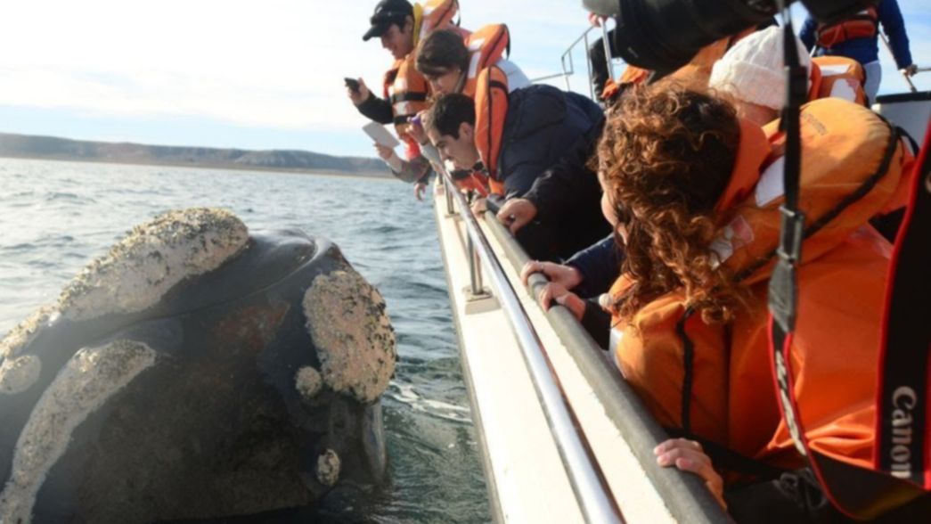 Vacaciones de invierno récord: se espera la llegada de 450 mil turistas extranjeros