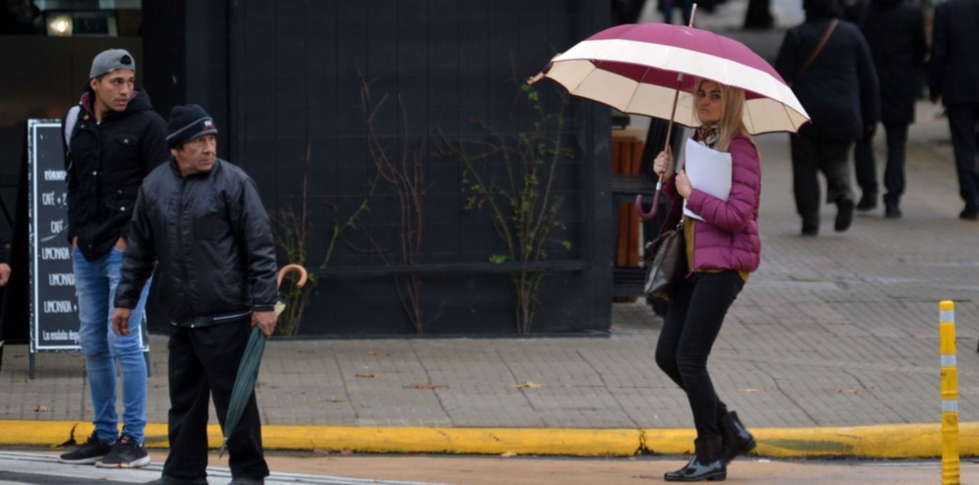 1558655207262.jpg?height=740&rotate=0&scaleX=1&ow=1500&x=8&y=195&oh=990&width=1481&scaleY=1&&cw=1920&ch=950