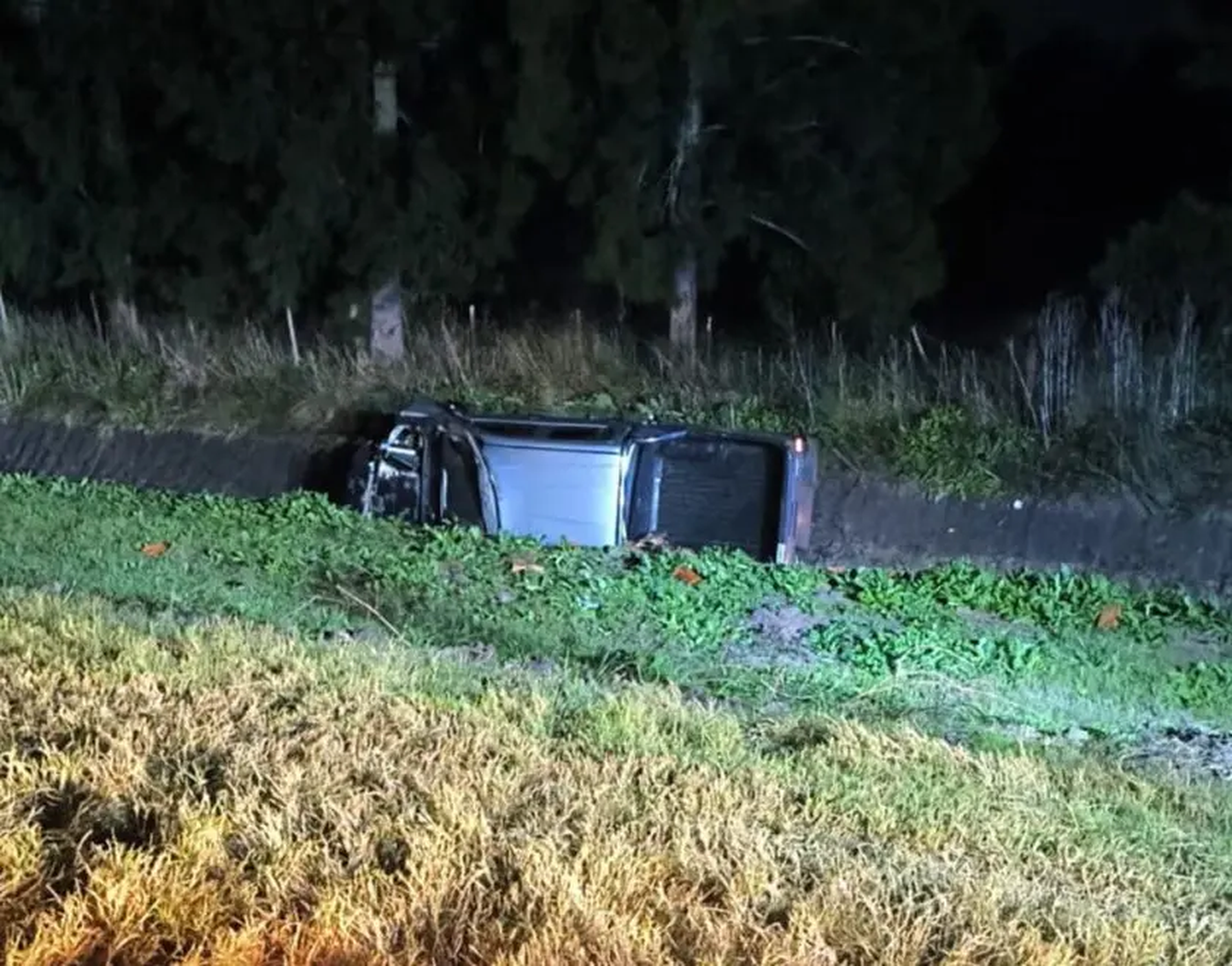 El conductor perdió el control y terminó volcando en Ruta 2, a la altura de La Plata.