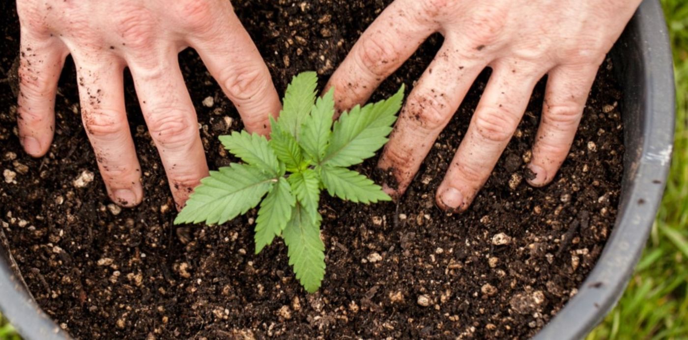 1568645581690.jpg?x=7&height=745&rotate=0&scaleY=1&y=20&width=1490&scaleX=1&ow=1500&oh=1000&&cw=1920&ch=950