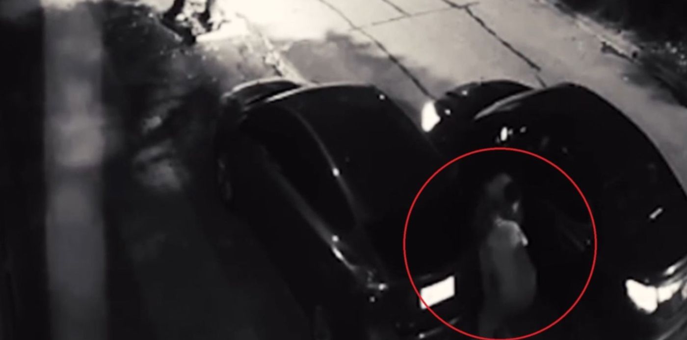 1617129570846.jpg?x=13&y=102&width=1483&height=741&rotate=0&scaleX=1&scaleY=1&ow=1500&oh=852&&cw=1920&ch=950