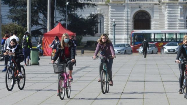 coronavirus en la plata: por cuarta semana consecutiva bajan los contagios en la ciudad
