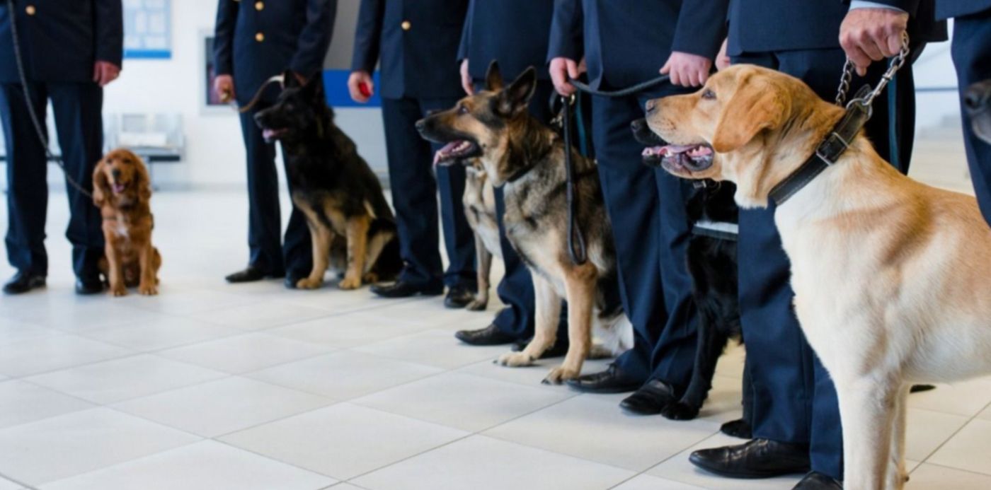 1601672854597.jpeg?x=6&y=109&width=1269&height=634&rotate=0&scaleX=1&scaleY=1&ow=1280&oh=853&&cw=1920&ch=950