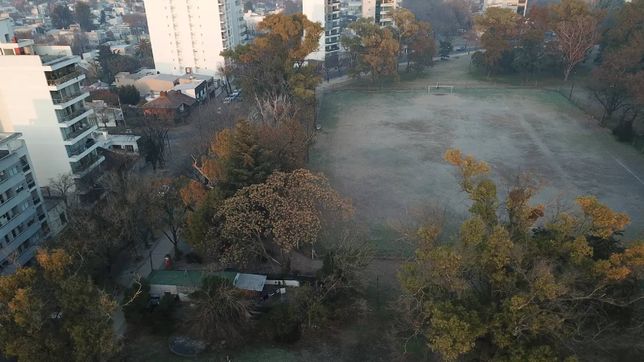 punto por punto, asi es el plan para que todo el parque san martin sea un espacio verde
