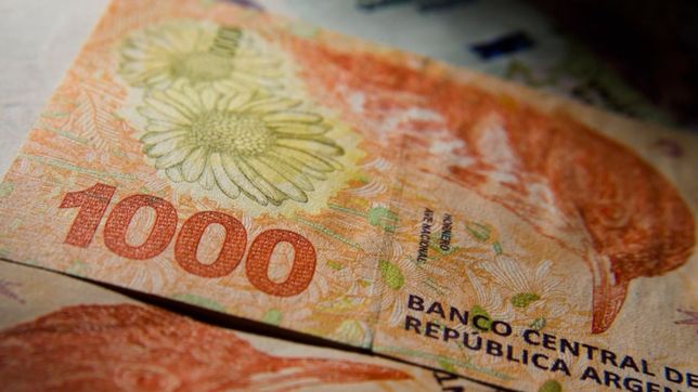 anses abrio la inscripcion para acceder al bono de $5.000: quienes y como pueden anotarse