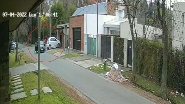 video: en segundos, asaltan a una mujer frente a su casa de la plata y huyen con su auto
