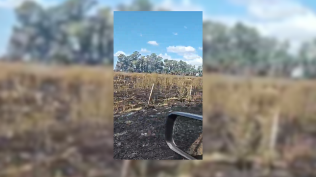 un incendio a pocos metros del autodromo roberto mouras arraso con mas de 80 hectareas