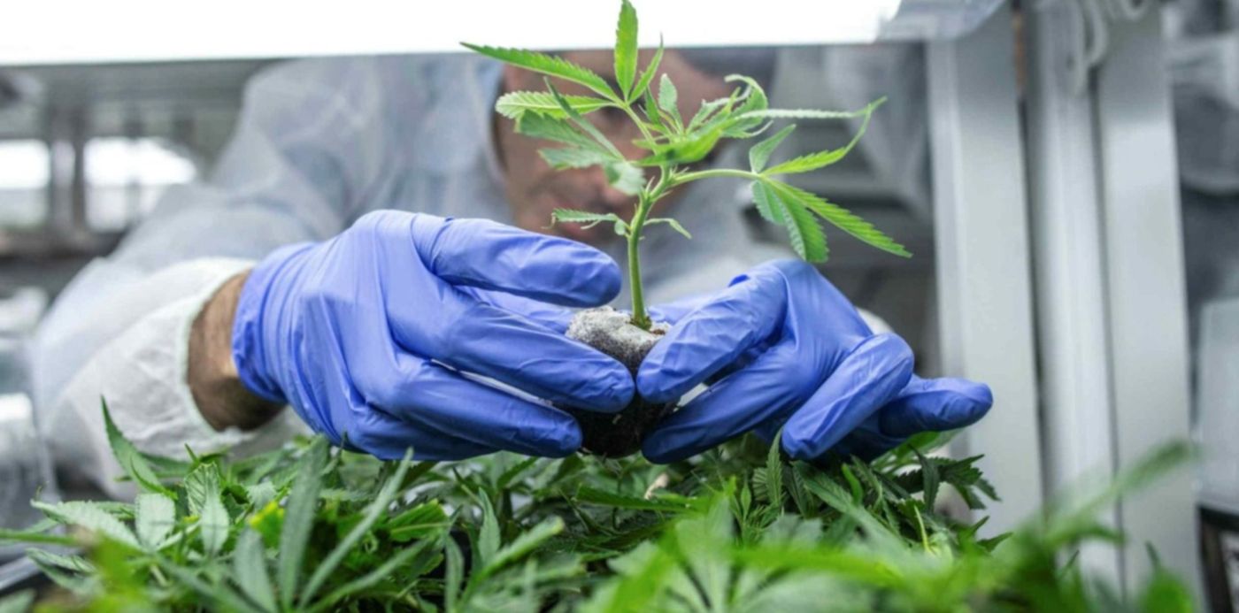 1568645583454.jpg?x=7&y=147&width=1483&height=742&rotate=0&scaleX=1&scaleY=1&ow=1500&oh=1000&&cw=1920&ch=950