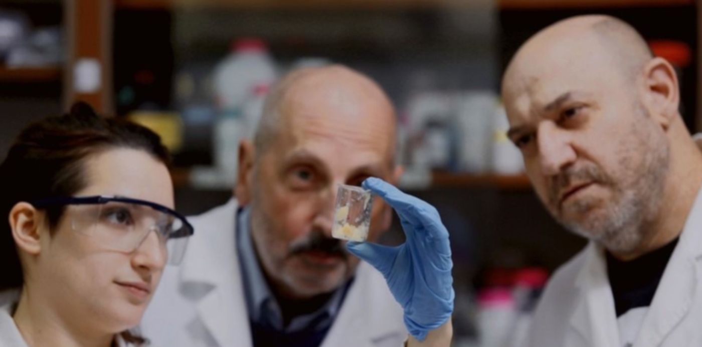 1599500994634.jpg?x=4&y=0&width=951&height=476&rotate=0&scaleX=1&scaleY=1&ow=960&oh=640&&cw=1920&ch=950