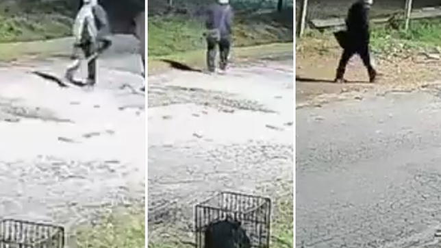 entro a robar a un club de barrio de tolosa y una camara de seguridad registro toda la secuencia