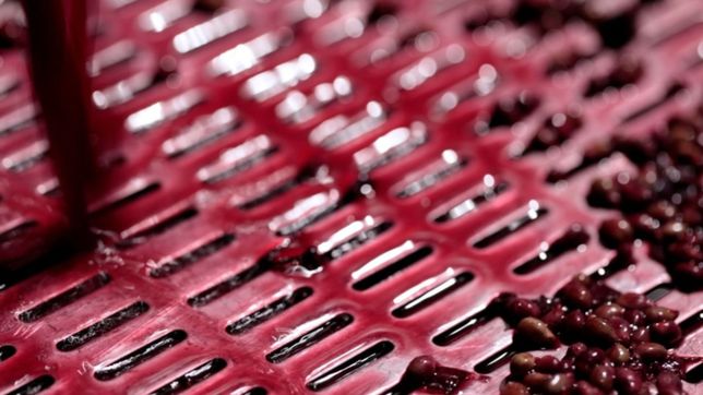 la unlp patento un jarabe nutricional hecho con desechos de la produccion del vino