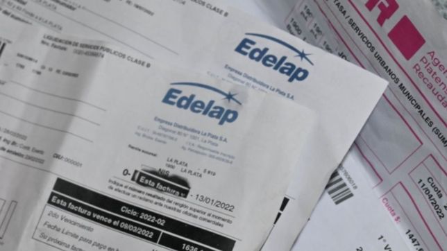 piden agregar informacion en las boletas de luz para quienes desean mantener los subsidios