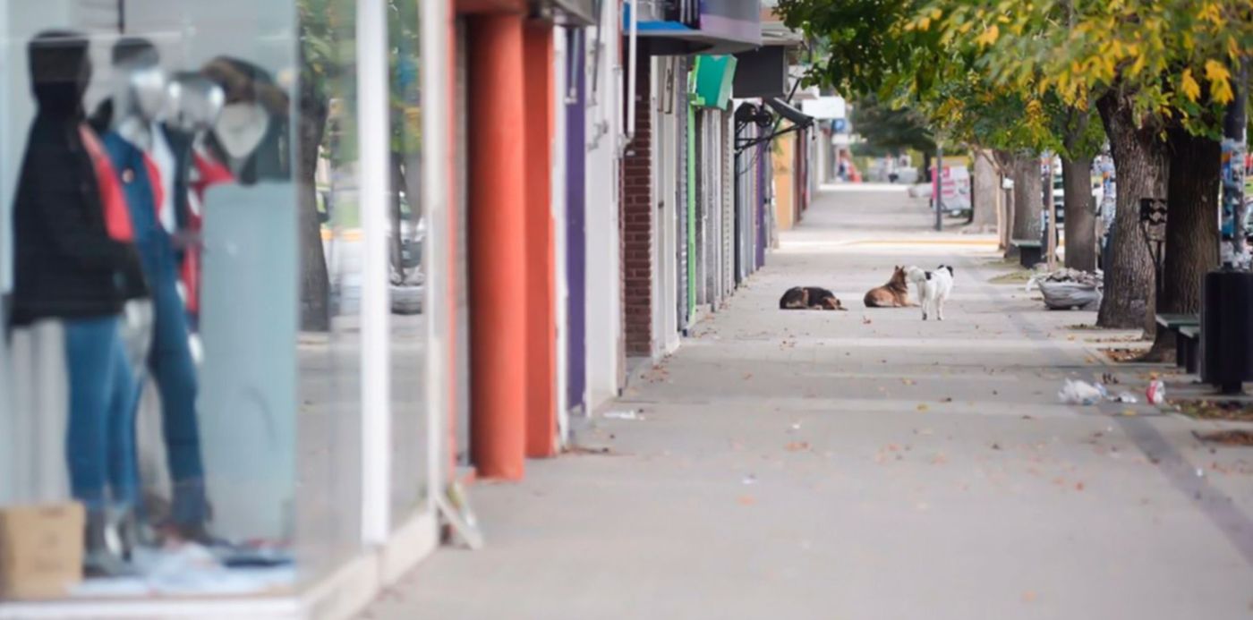 1525183574804.jpg?y=183&width=1483&height=742&scaleX=1&ow=1500&oh=998&x=15&rotate=0&scaleY=1&&cw=1920&ch=950