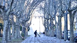 con alerta amarillo por frio, la plata se prepara para una semana helada y la posible vuelta de las lluvias con alerta amarillo por frio, la plata se prepara para una semana helada y la posible vuelta de las lluvias