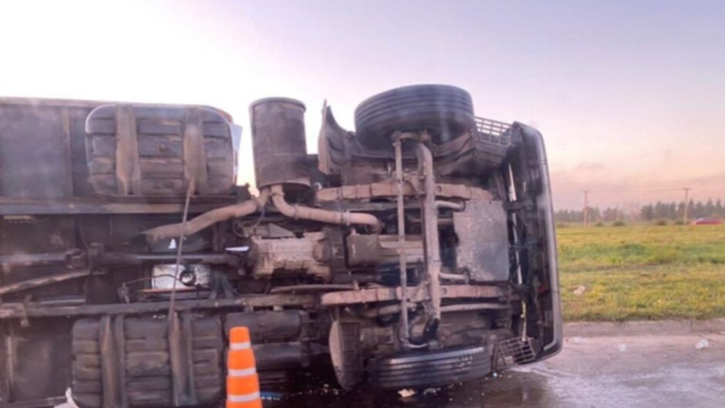 Otro accidente de tránsito en Brandsen: un camión repleto de carne volcó en la Ruta 215