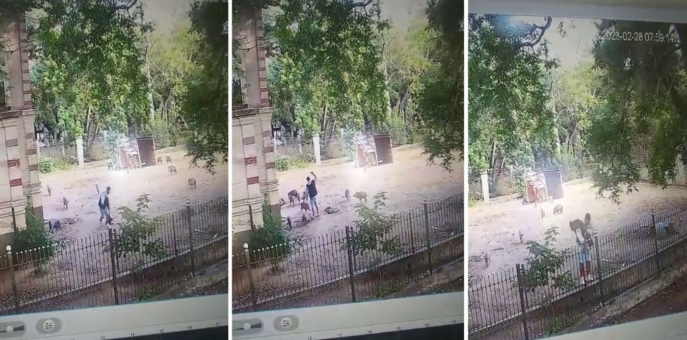 1677621157206.jpg?x=8&y=10&width=1464&height=732&rotate=0&scaleX=1&scaleY=1&ow=1500&oh=742&&cw=1920&ch=950