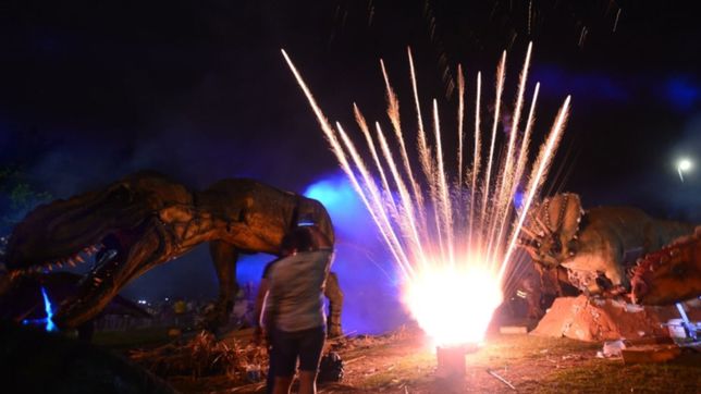 videos: asi registraron los platenses la quema de los munecos