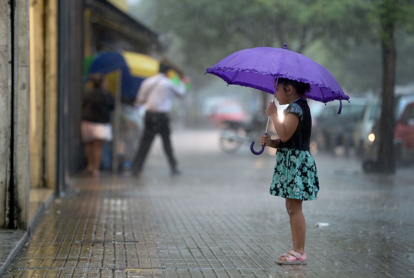 Lluvias tormentas (4).JPG