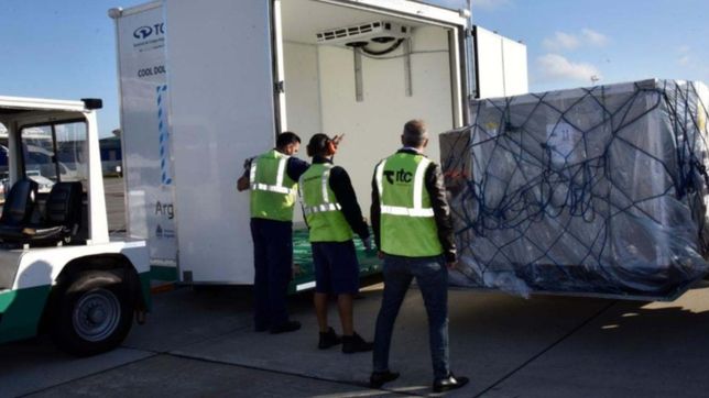 llego el avion con las vacunas astrazeneca del fondo covax, que impulsa la oms