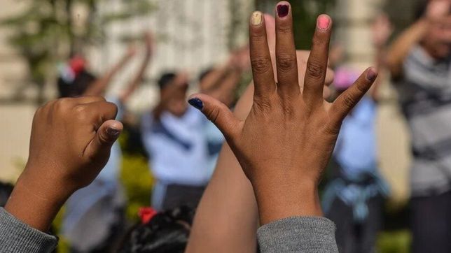 resguardan a una nena y al resto de sus hermanos por un presunto abuso en la plata