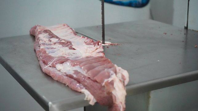 ¿cuales fueron los rubros que mas subieron y llevaron la inflacion de febrero al 2,9%?