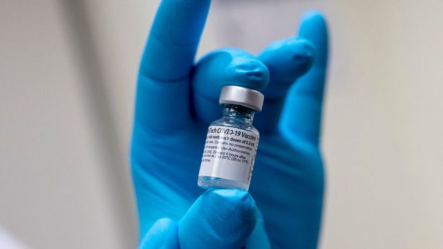 llegan a la argentina mas de 160 mil vacunas pfizer