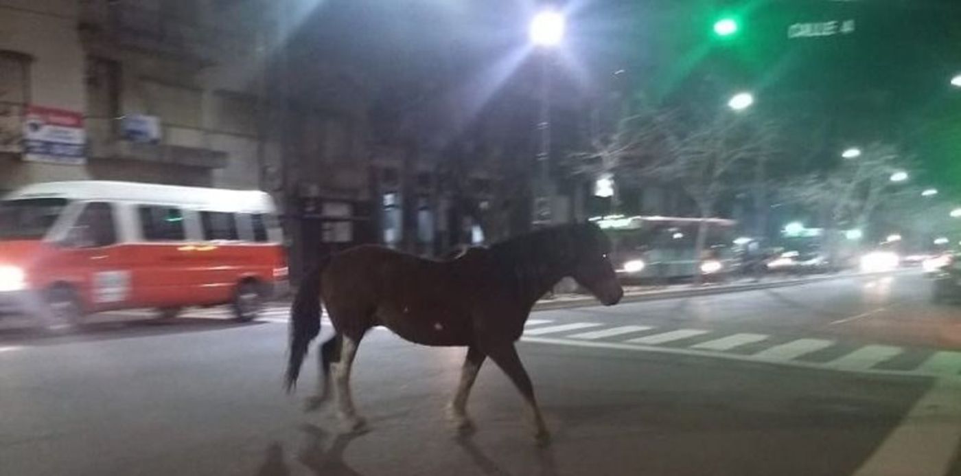 1533032534034.jpg?&cw=1920&ch=950