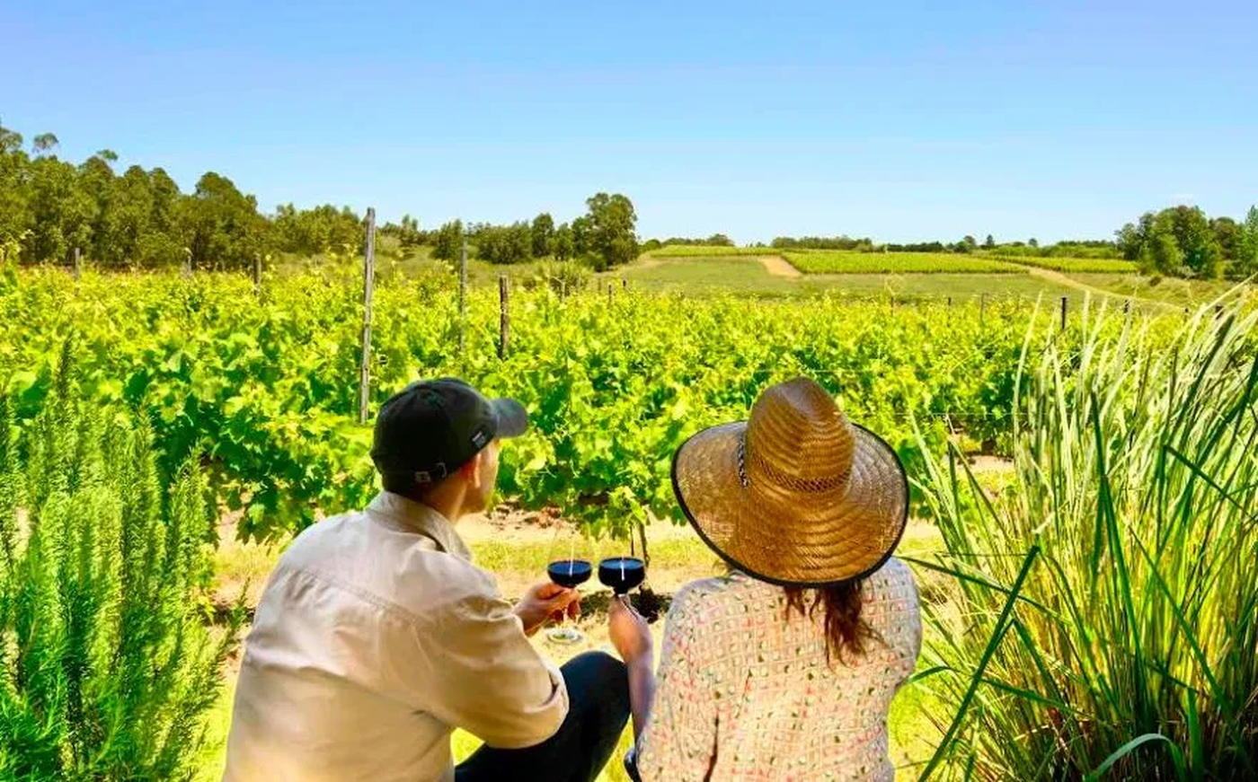 Banco Naci&oacute;n ofrece m&uacute;ltiples beneficios para disfrutar al m&aacute;ximo la temporada de Vendimia