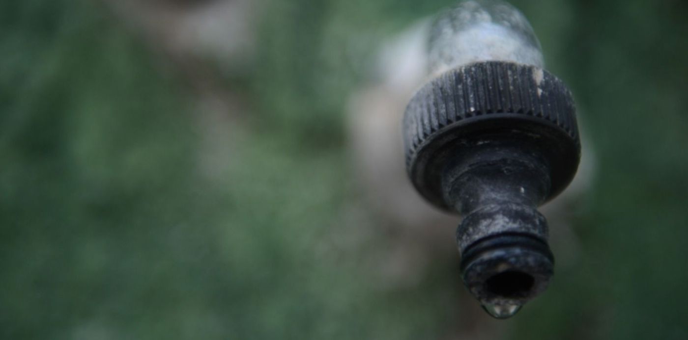 1580776083484.jpg?x=18&y=195&width=1472&height=736&rotate=0&scaleX=1&scaleY=1&ow=1500&oh=996&&cw=1920&ch=950