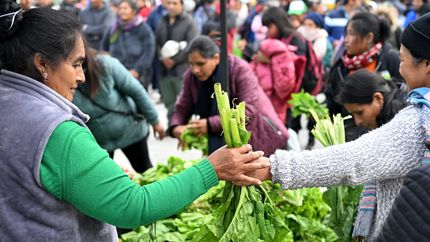 Productores del cinturón frutihortícola se movilizan en medio de la crisis del sector