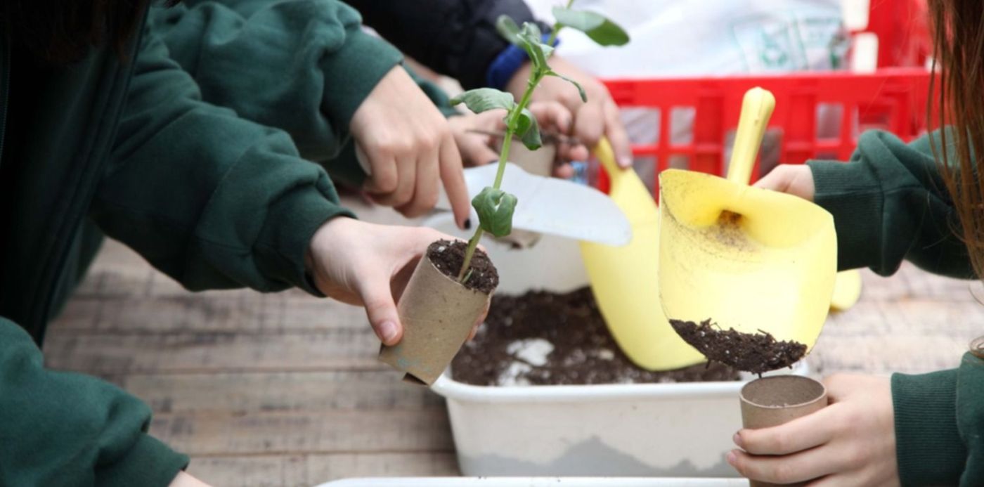 1580254989395.jpg?x=7&width=1487&scaleX=1&ow=1500&y=177&height=743&rotate=0&scaleY=1&oh=1000&&cw=1920&ch=950