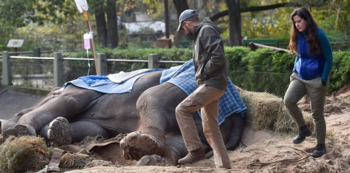 1528111733453.jpg?ow=1500&x=4&width=1486&height=743&rotate=0&scaleY=1&y=231&scaleX=1&oh=996&&cw=1920&ch=950