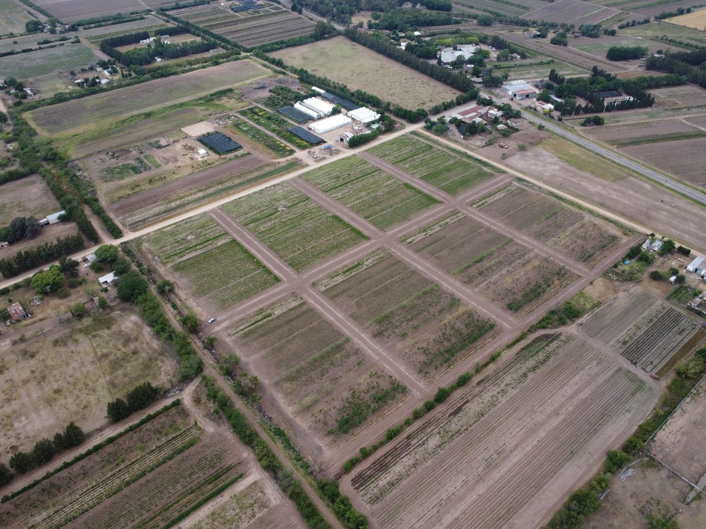 Julio Alak cuestionó el rápido crecimiento territorial de La Plata y apuntó a los loteos ilegales que fueron clausurados. Julio Alak cuestionó el rápido crecimiento territorial de La Plata y apuntó a los loteos ilegales que fueron clausurados.