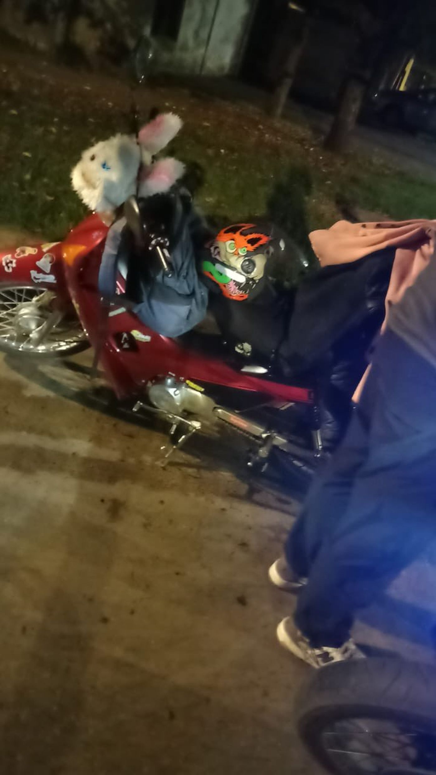 Los procedimientos, realizados entre la noche del viernes y la madrugada del s&aacute;bado, buscaron frenar una caravana de motos en La Plata